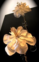 /album/galleria-foto-oggetti-inventati-e-reinventati/img-6240-jpg/