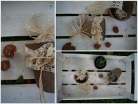 /album/dettagli-che-rendono-unici-le-tue-occasioni-pi%c3%b9-speciale/bombonieraeco-jpg/