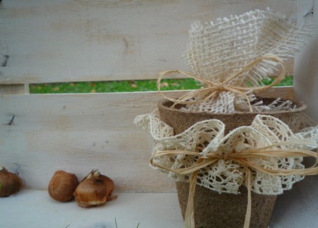 Idea Bomboniera eco.Vasetto biodegradabile con bulbo e terra compatta