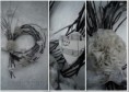 /album/galleria-foto-home/garofani-jpg1/