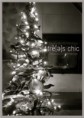 /album/galleria-foto-home/xmastree-jpg/